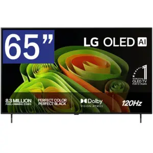 65" LG OLED 65B6